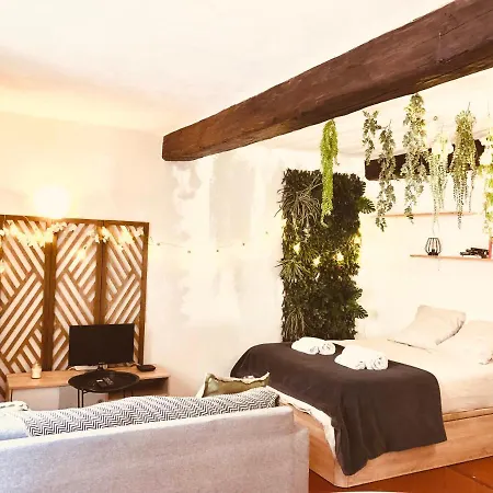 Appartement Jungle Hyper Centre à Nîmes Extérieur photo