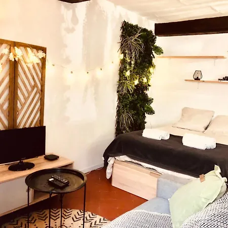 Appartement Jungle Hyper Centre à Nîmes Extérieur photo