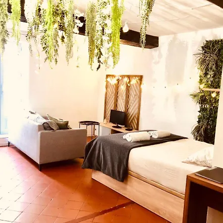 Appartement Jungle Hyper Centre à Nîmes Extérieur photo